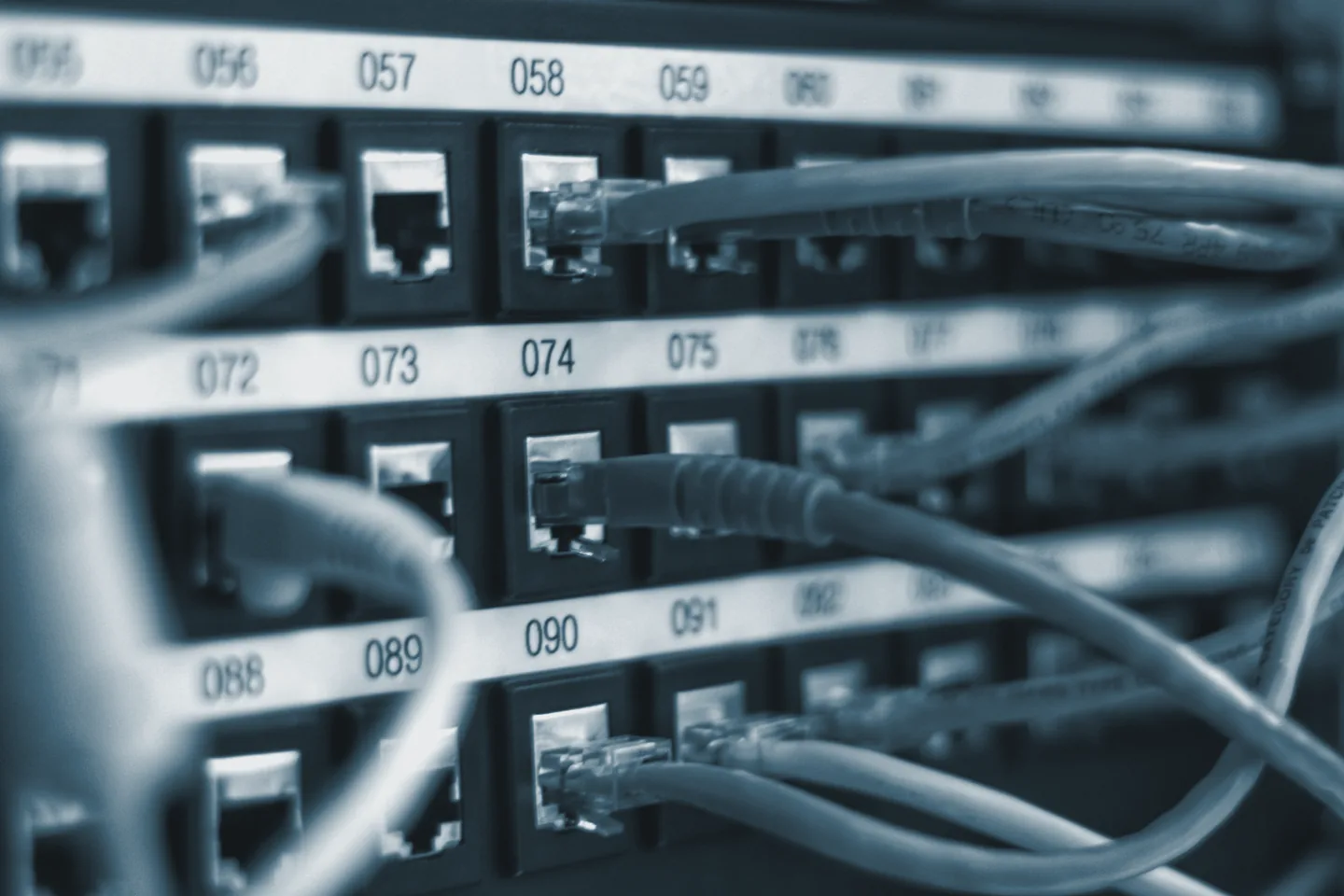 Close view of a numbered patch panel with network cables plugged into labelled ports.